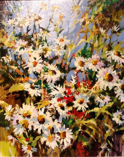 Daisies Brent Heighton