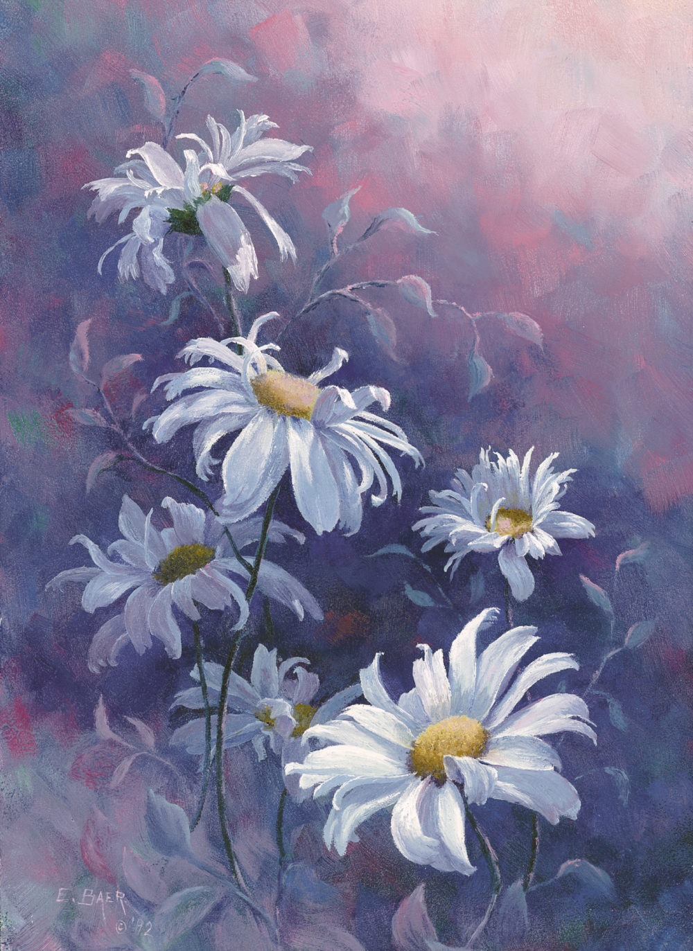 Daisies