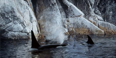 Deep Water Orcas - Ron Parker