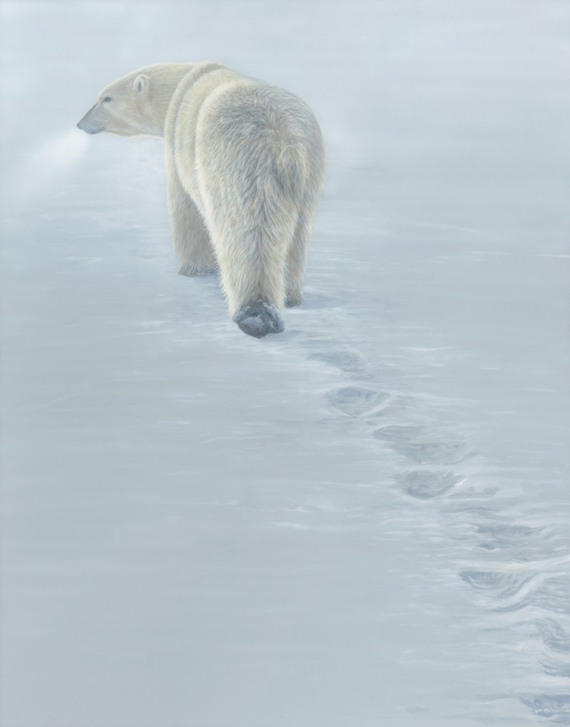 Disappearing Footprints Terry Isaac
