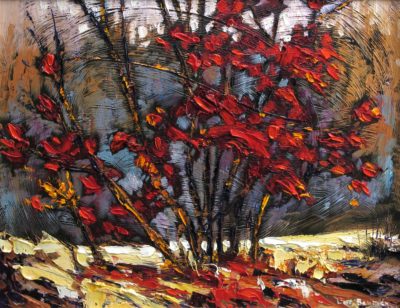 Dogwood Shrub - Lois Bauman