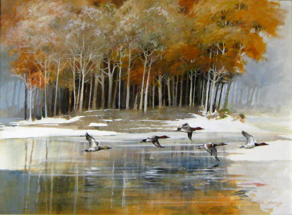 Duck Island