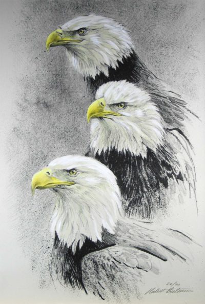 Eagle I - Etching - Robert Bateman