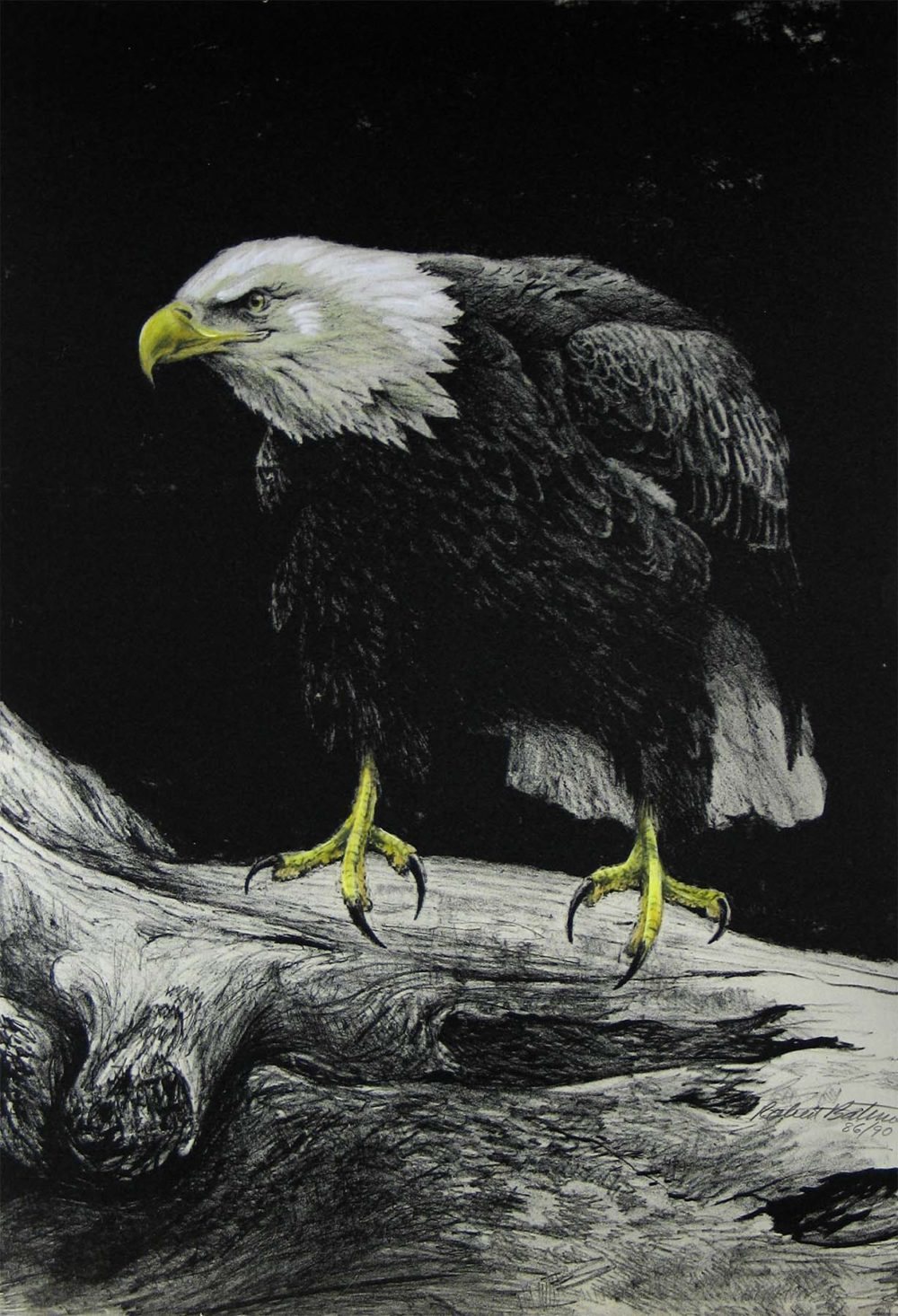 Eagle III - Etching - Robert Bateman