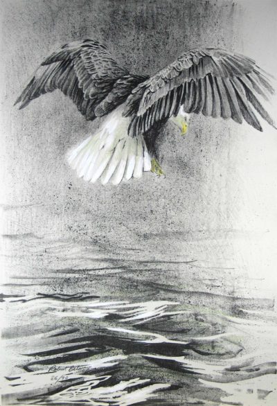 Eagle IV - Etching - Robert Bateman