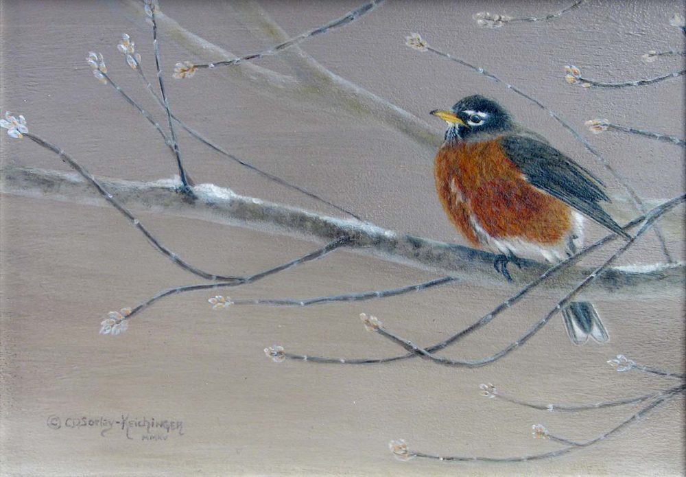 Early Bird - Cindy Sorley-Keichinger