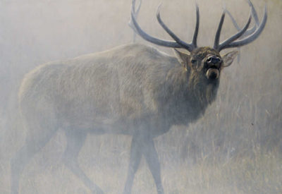 Echoes Of Yellowstone John Banovich