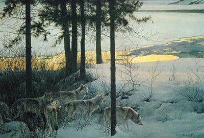 Edge of Night - Timber Wolves - Robert Bateman