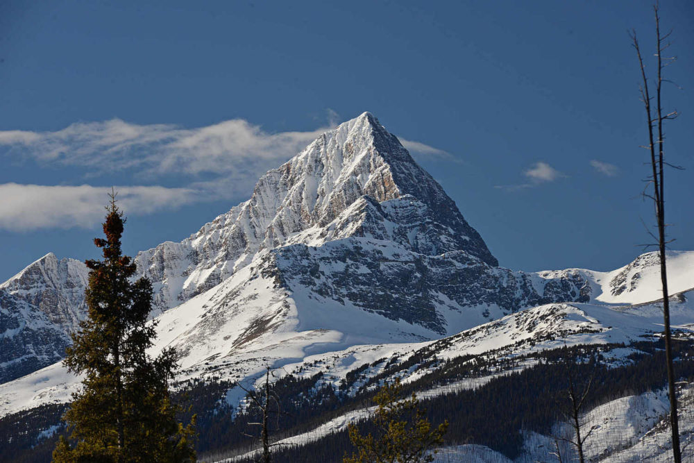 Edith Cavell, East Face