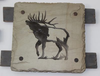 Elk Slate Roy Hinz