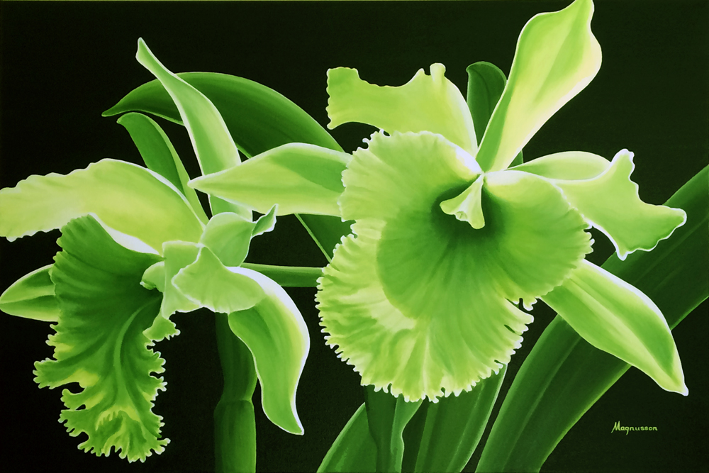 Emerald Glow Orchid Dennis Magnusson