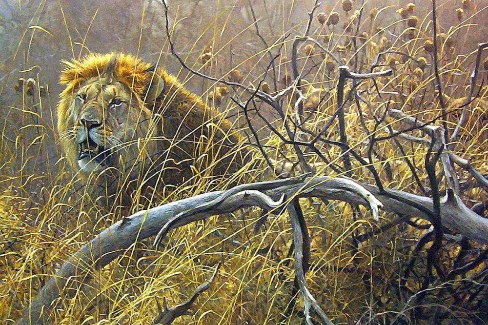 Encounter in the Bush - Robert Bateman