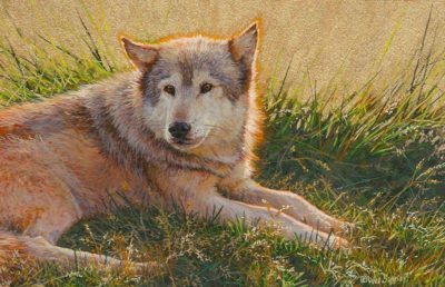 Enjoying the Warm Sun - Wes Siegrist