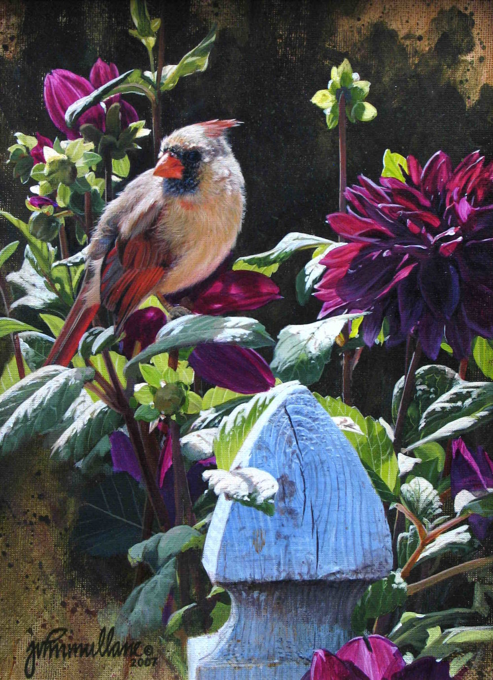 Female Cardinal