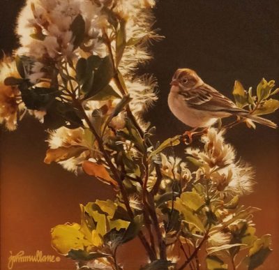 Field Sparrow and Baccharis - John Mullane