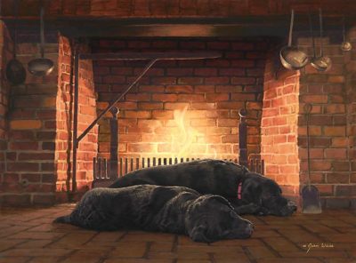 Fireside Friends - John Weiss