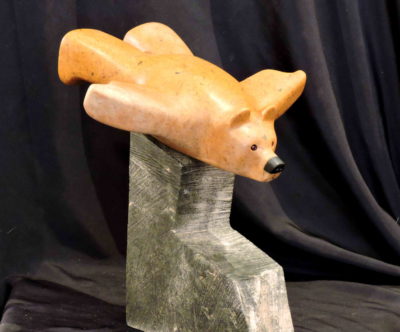 First Class Bear Canada - Vance Theoret