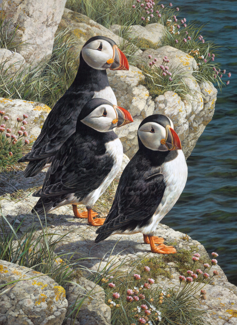 Fisherman's Wharf - Three Puffins