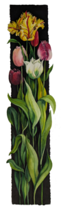 Flaming Parrot Tulips