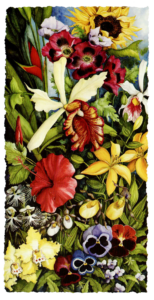 Flowers of the Americas - Painting & Repro