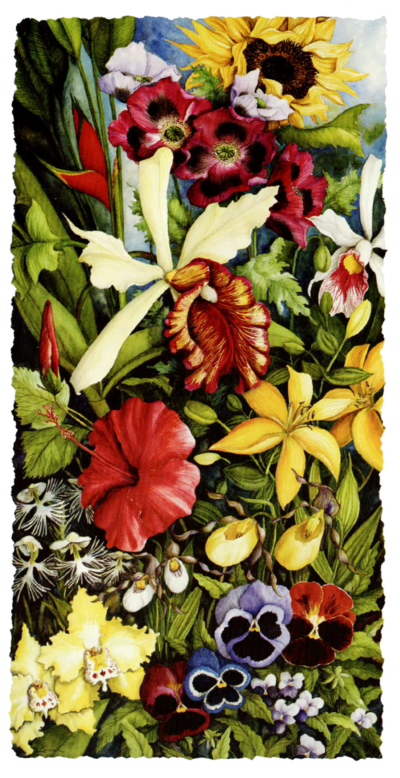 Flowers of the Americas - Painting & Repro