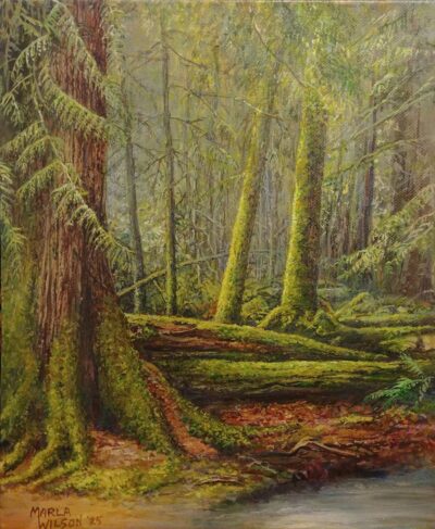 Forest scene