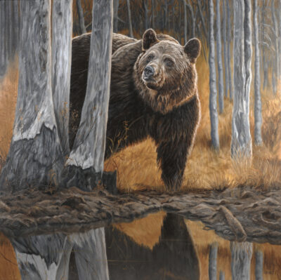 Forest Reflections HH Adjmts Dec 30 2025 72ppi