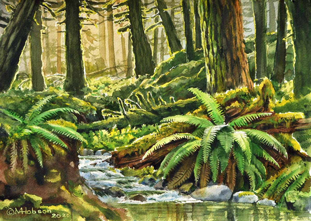 Forest Stream - 2020 - Watercolour - 10 x 14