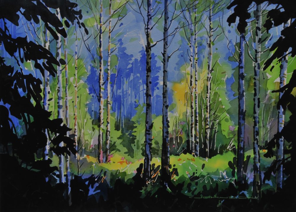 Forest Trail Near Sundance Hoodoos, Edson