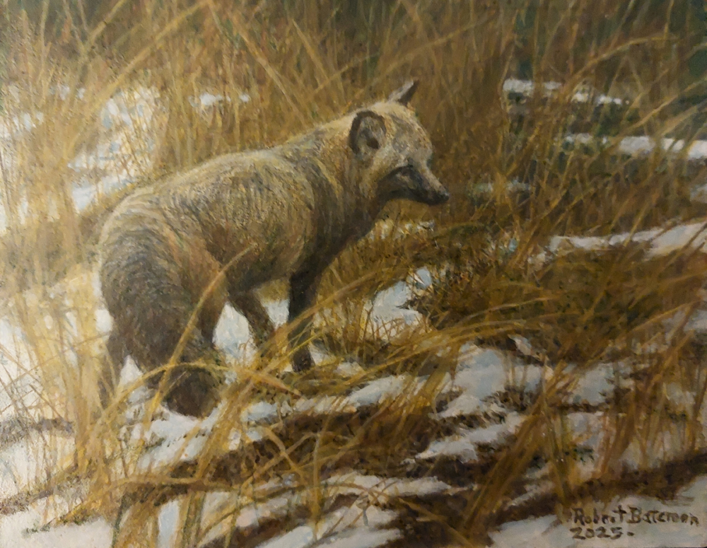 Foxy Lady - Cross Fox by Robert Bateman 1200 X 930
