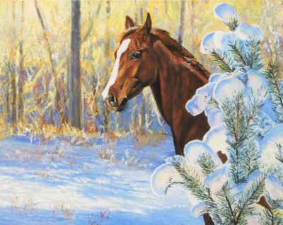 Fresh Morning - Andrew Kiss