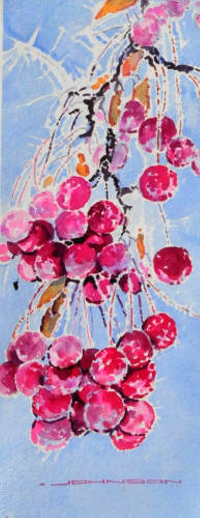 Frozen Berries Gregg Johnson