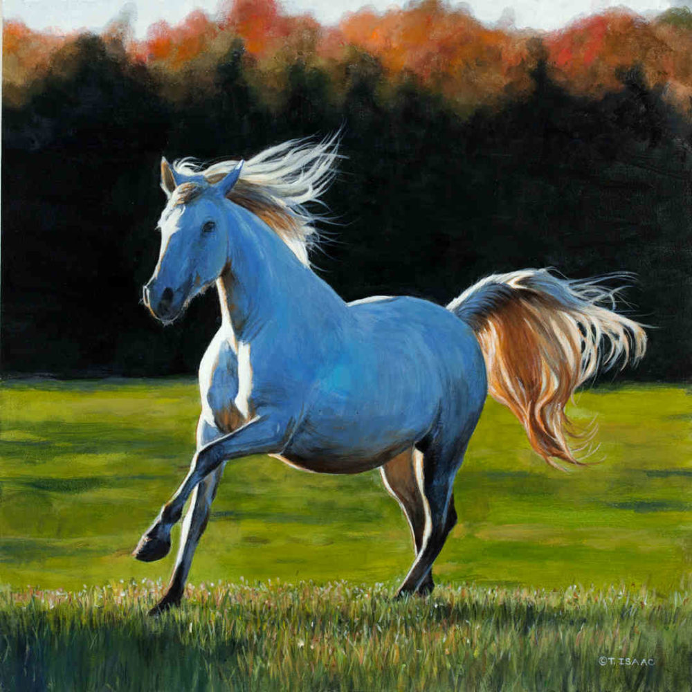 Full Gallop