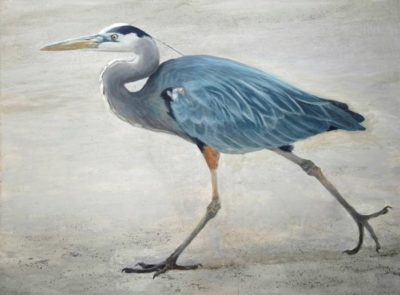 Full Stride - Great Blue Heron - Robert Bateman