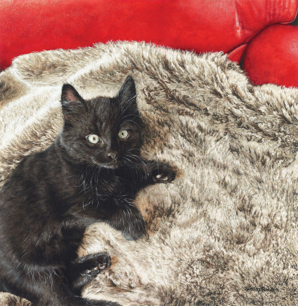 Fur Baby