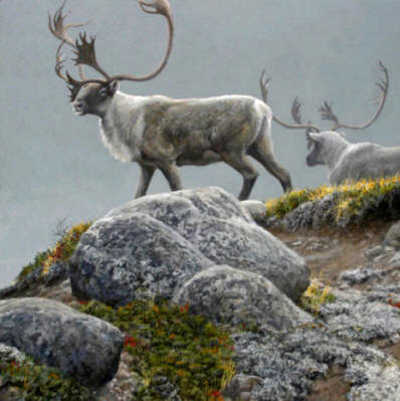 George River Caribou Robert Bateman