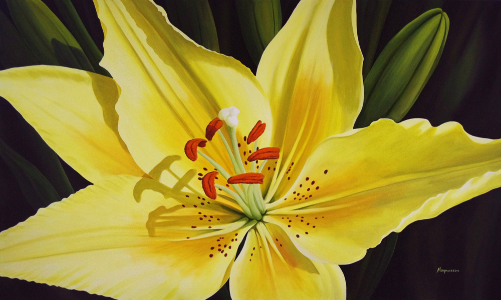 Starburst Hibiscus - Art by Artist Dennis Magnusson