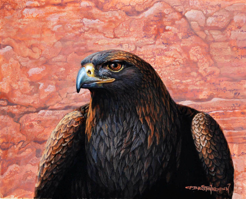 Golden Eagle Portrait - Carel Brest Van Kempen