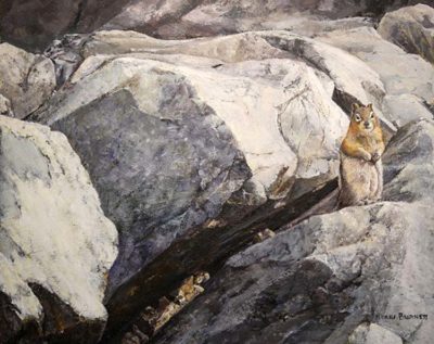 Golden-mantled Ground Squirrel, The Rock Pile, Moraine Lake Area - Kerri Burnett