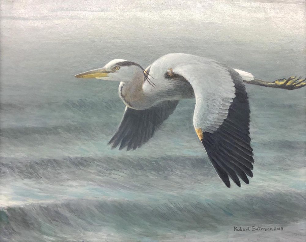 Great Blue Heron Over Waves - Robert Bateman