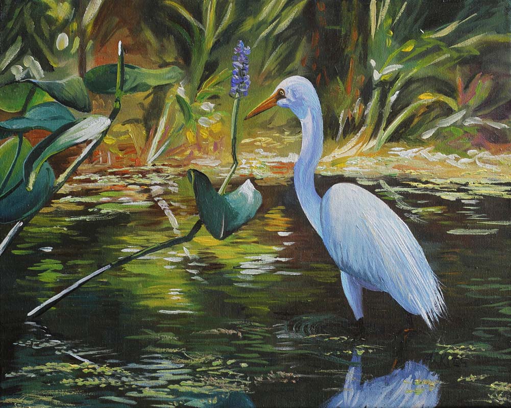 Great White Egret - Andrew Kiss