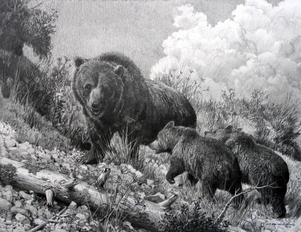 Grizzly Sow With Two Cubs