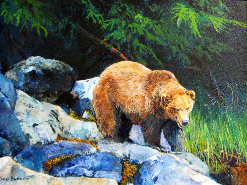 Grizzly On Shore Kerri Burnett