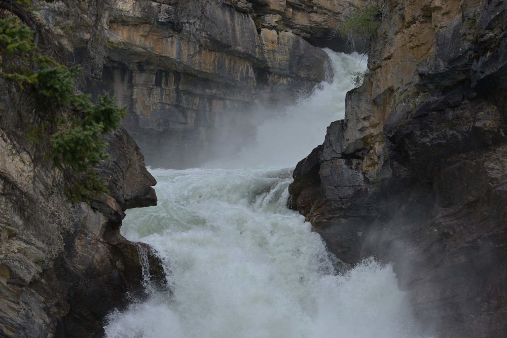 Guardian of the Lower Falls