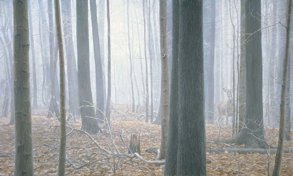 Hardwood Forest - White-Tailed Deer - Robert Bateman