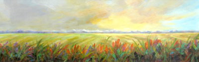 Harmony Heartland Series Marilyn Hurst