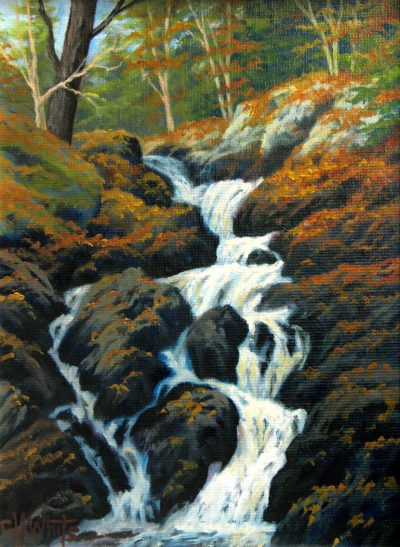 Hiawatha Falls - Charles White