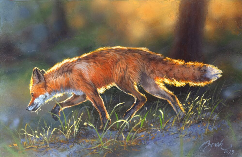 Fox