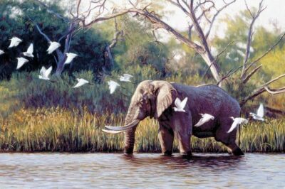 John_Banovich_Somewhere_Near_Eden_Framed_BRCRRGB_1024x1024@2x