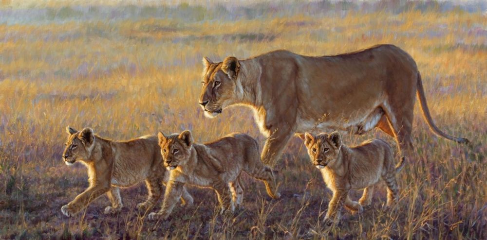Joining the Pride